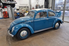 Ovalkäfer 1953